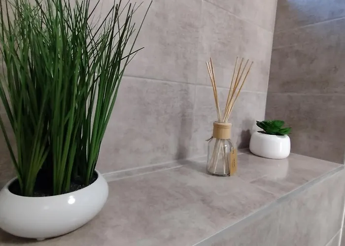 Friends - Station - Self Check-in